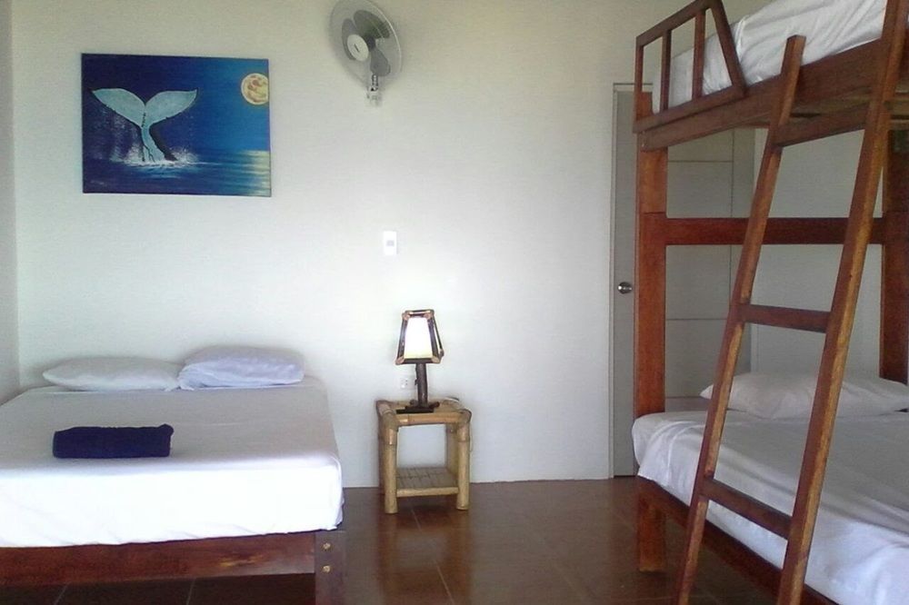 Las Tortuguitas Bungalows Los Órganos Eksteriør billede